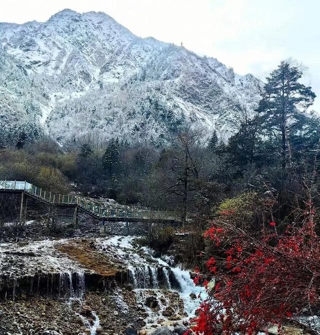 层林尽染看平武