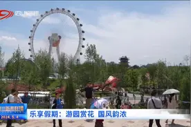 四川新闻联播丨乐享假期：游园赏花 国风韵浓图片