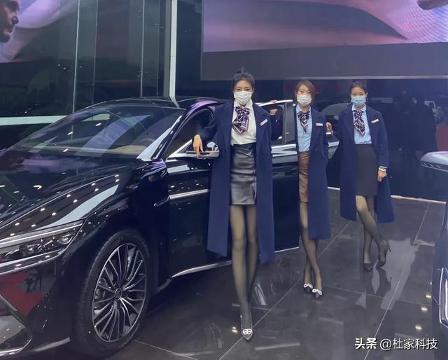 比亚迪突曝大消息：6000吨阿拉善沙子运回郑州，又拿下俩吉尼斯