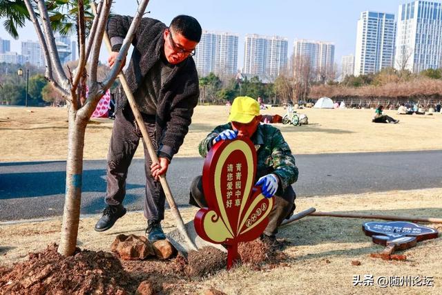 文化公园：公园焕新添暖意 游客欣然入画来