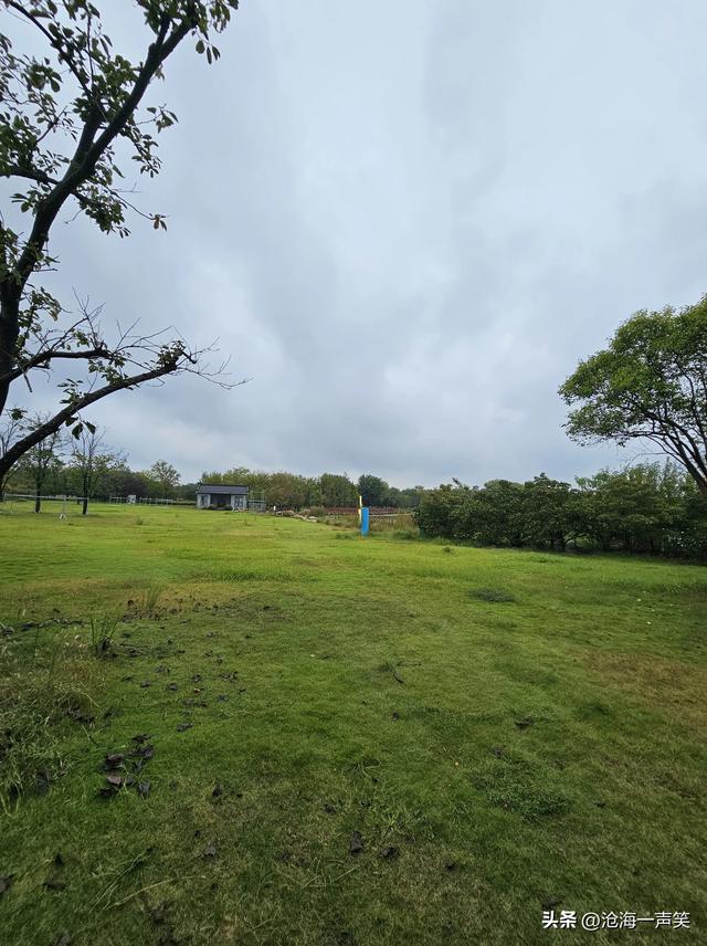苑城公园，秋色迷人，落英缤纷，古色古香，一副秋色秋景染枝头！