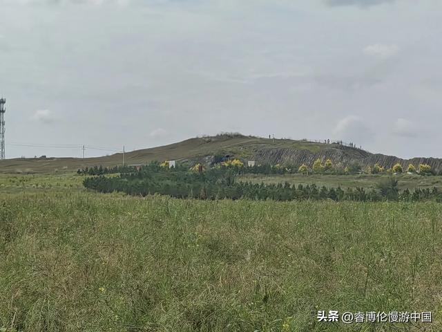寻找谷力脑包