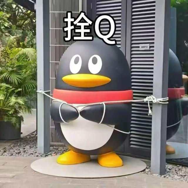 “拴Q”被台风吹走了？最新消息