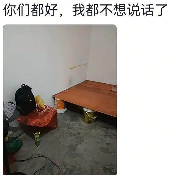 笑麻了，两广地区的催婚方式真硬核啊，网友：卧室堪比陋室铭