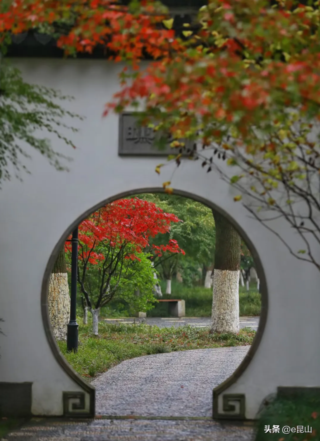 久等了！红透啦！