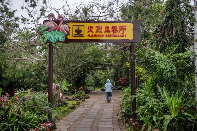 广西广东海南环游(十二)海南热带野生动植物园