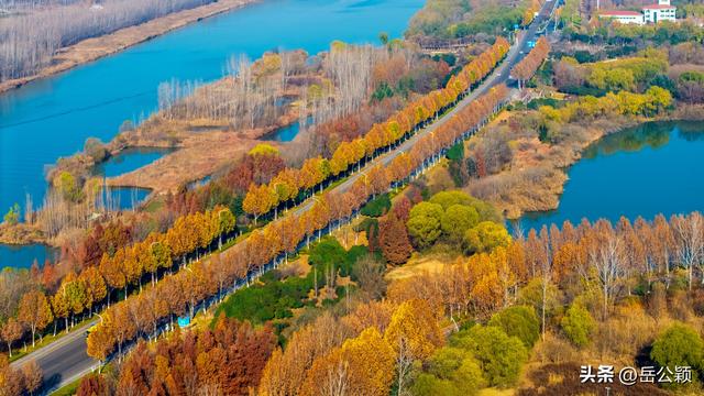 瞰齐鲁|初冬，来济宁赏秋……
