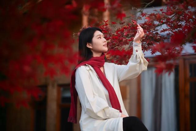 可惜你不听《枫》，不知道醴陵这片枫林到底有多美！