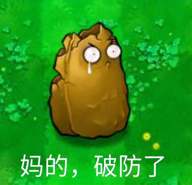 国产新游再现黑丝诱惑！检测网易开放世界的时候快到了