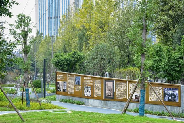 初冬色彩+N！街角美得藏不住→