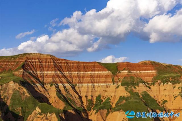 东乡大地的浪漫情书——“羊肉卷”