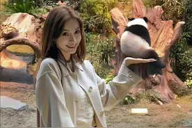 Angelababy现身香港熊猫馆，一身穿搭几十万，靓丽香港美女！图片