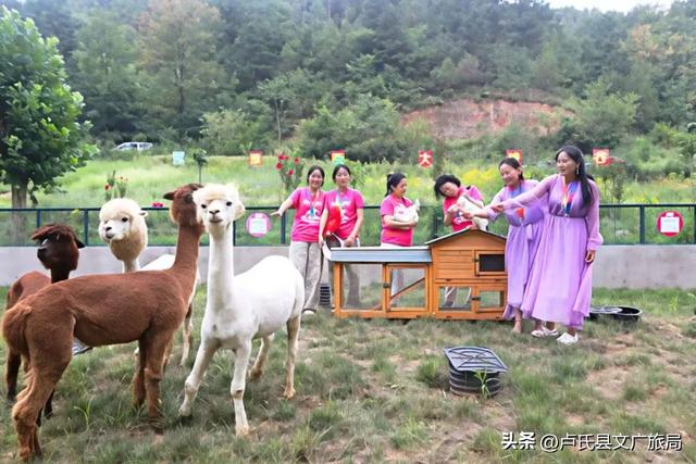 【文旅医养】百对双子竞激流，千宠萌动峡谷欢•豫西大峡谷第十八届全国双胞胎漂流大赛燃爆盛夏！