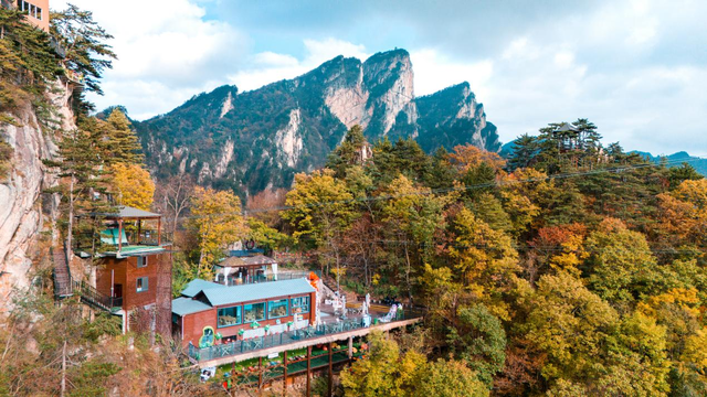 老界岭管理团队：南北分界线上的文旅蝶变