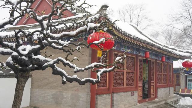美出圈！春雪落正定，宛如童话世界