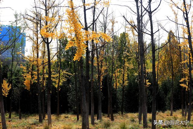 深秋时节，临汾有个富有诗意的好地方！
