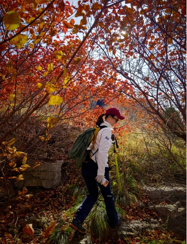 驴行信记：浪漫“赵家岭”