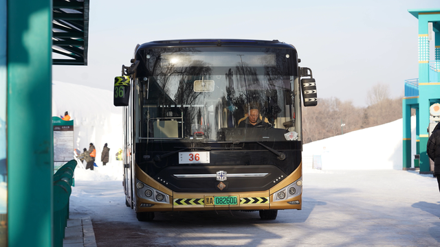 每日10时至17时！逛雪博会不用“暴走”，太阳岛开通免费出园大巴