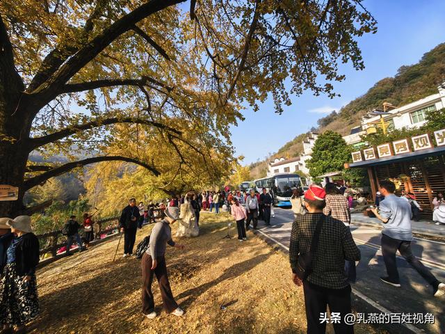 一场浪漫的出走，被惭愧偷换了终局