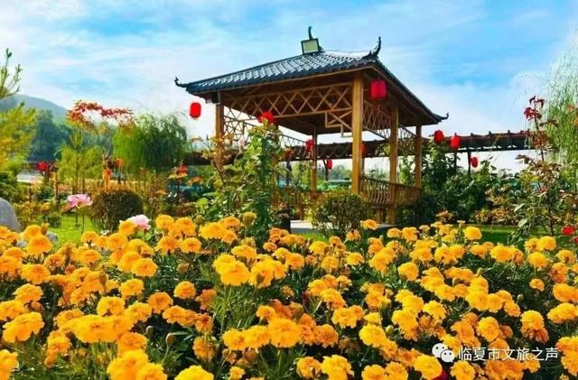 临夏的秋：一半斑斓，一半诗意