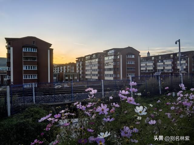 在阿尔山玩了两天，和大家聊聊真实感受，附两日游攻略