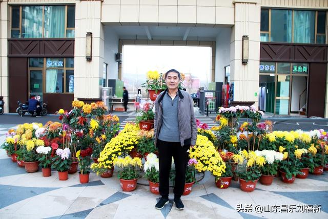 携老伴虹桥花园赏菊（下）