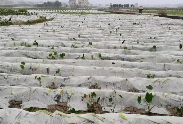 23点03分冬至，老话上午冬至，冰三尺；下午冬至，穿单衣