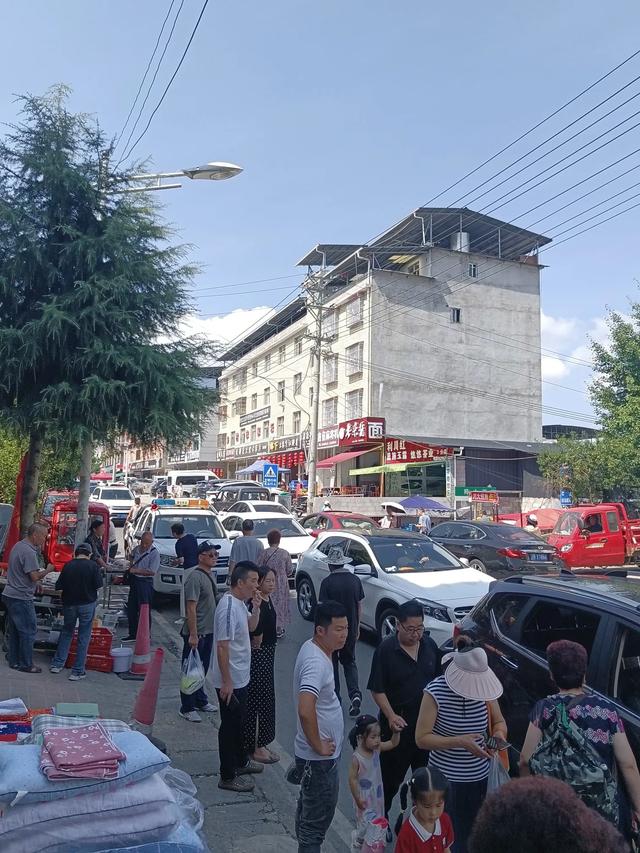 对苏马荡避暑生活有始有终，才让她们嗅到机会，能捡大瓜