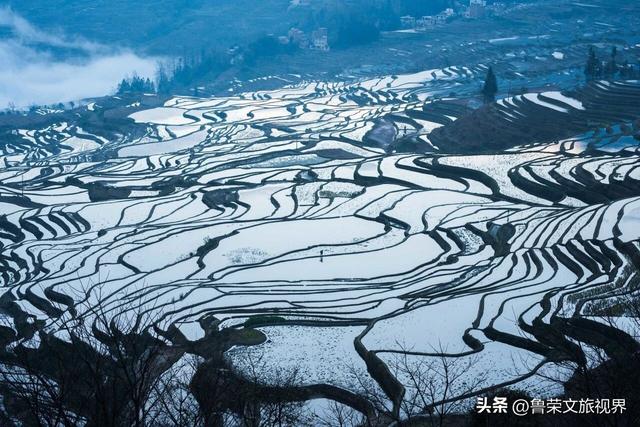 元阳梯田：大地曲线里的千年秘境，五大打卡点解锁地球最美光影