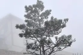福建下雪了！图片