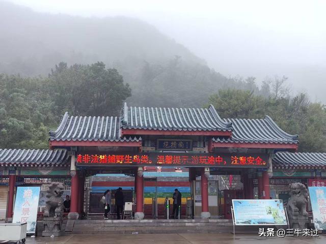 无为在歧路，国庆游淄博5