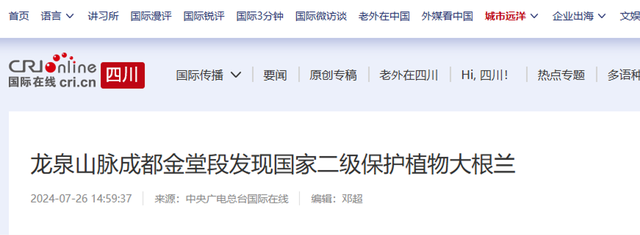 一年仅出现几天！24年四川首次发现“隐身”植物，遇见堪比中彩票