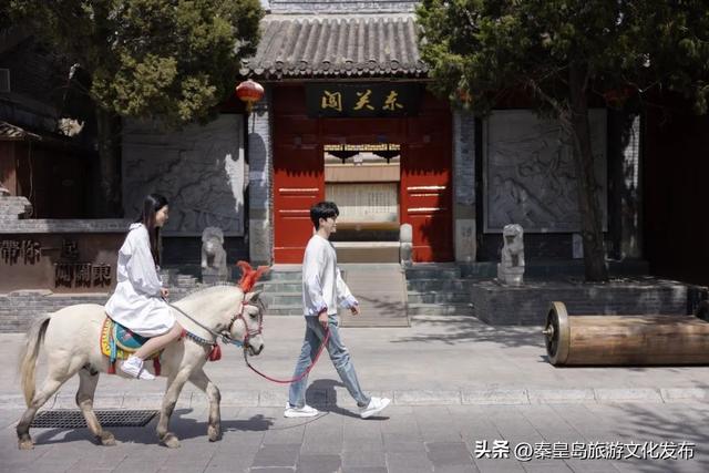 山海关长城金秋慢游季来喽！