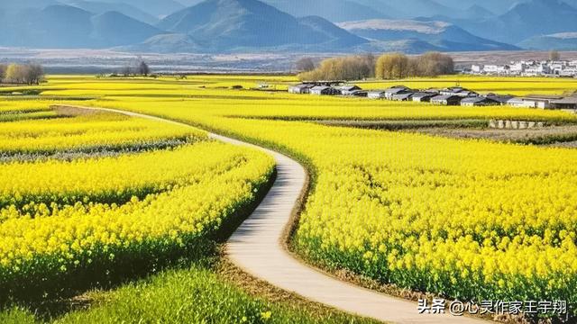 烟火织岁月，微光暖人间，心向暖阳自芬芳