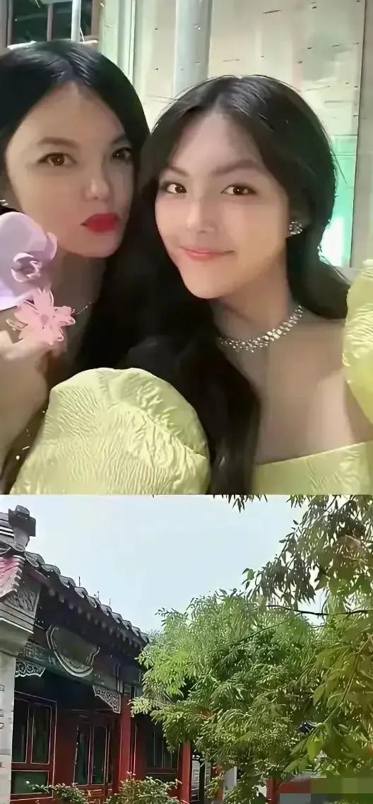 李湘在平台晒自家北京小院，大到让网友以为是景区