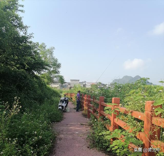 广西南宁市马山县周水村，探那马土司故地，有水上乐园还有斗牛场