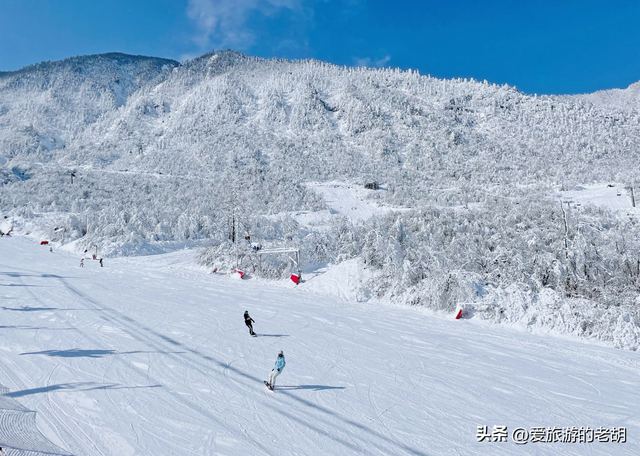 240元门票进入景区玩雪还需再买票，吃相太难看，本地人现身劝退