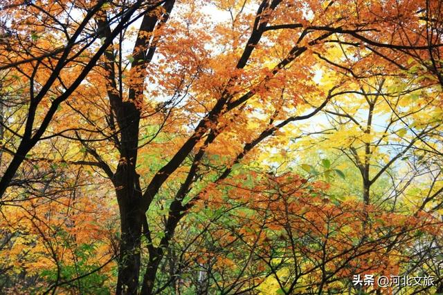 野三坡“野”得洒脱，美得放肆~