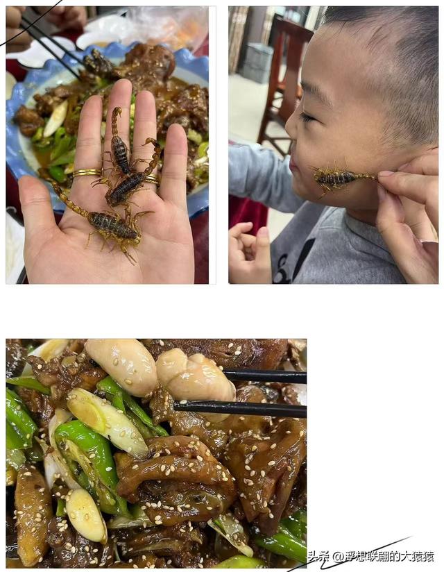 “攻上孟良崮，活捉张灵甫！”——我终于来到了孟良崮战役纪念馆