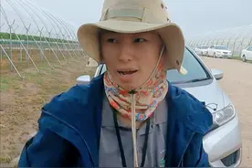 四川女生在澳洲农场打工的真实生活：早上4点摘草莓，时薪29澳元图片
