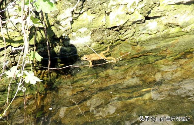 走亲曹家庙（一）