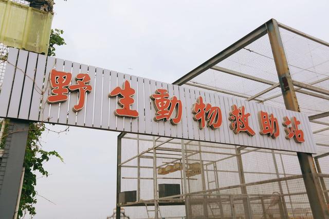 天津长芦海盐文化旅游区，看小众工业风，千年盐田成为网红打卡地