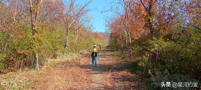 从射乌山到柏家庄