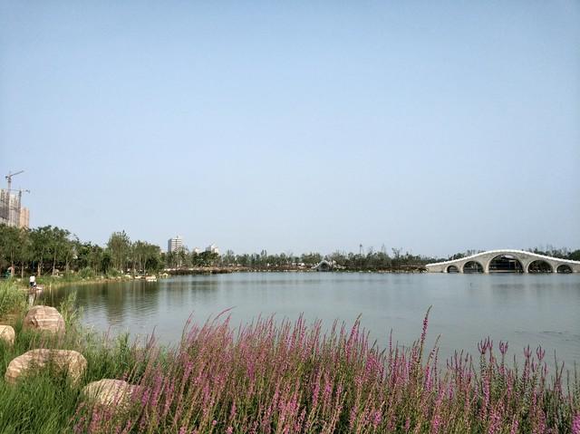 行走河南系列之只有新乡