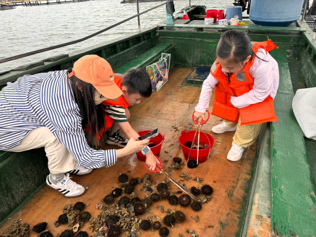 叮！陵水5条国庆&中秋路线 为您打造难忘旅游黄金周回忆