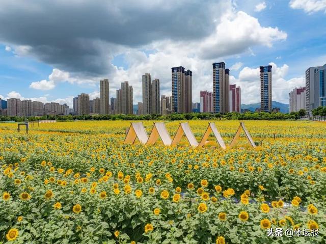 球票别扔！平阳给球迷开挂了：看浙BA+逛非遗市集+游景区，三倍快乐锁死→