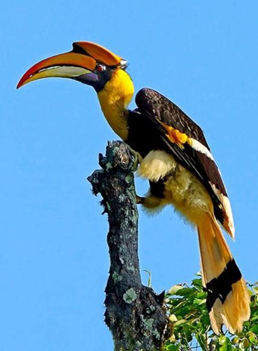 携台湾亲朋自驾游滇西南之十一