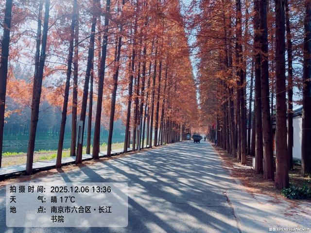 骑游仪征龙山森林公园、六合长江渔村