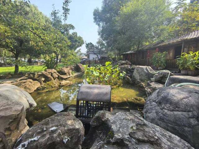 过客成留客！鞍山温泉酒店和特色民宿持续火爆