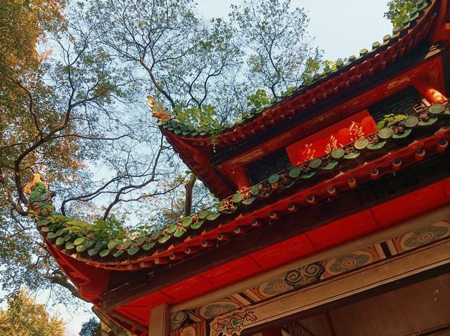 国内这5大城市名山，你去过几个？有你的家乡吗？